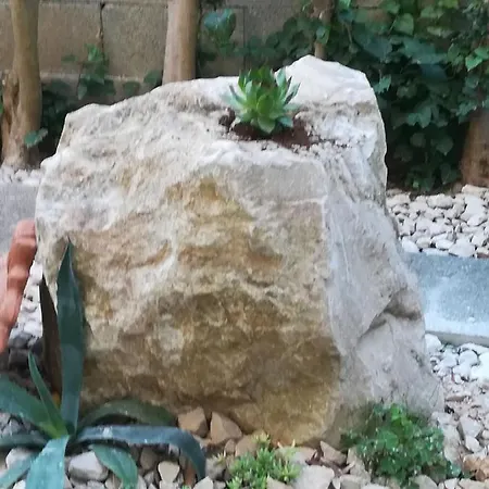 マスリナ * ザダル