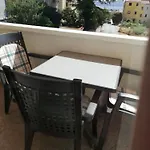 Maslina * Zadar