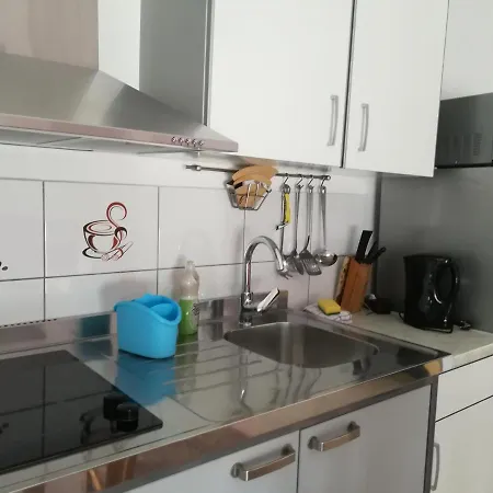 Maslina * Задар