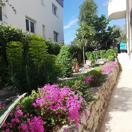 Apartman Maslina Zára