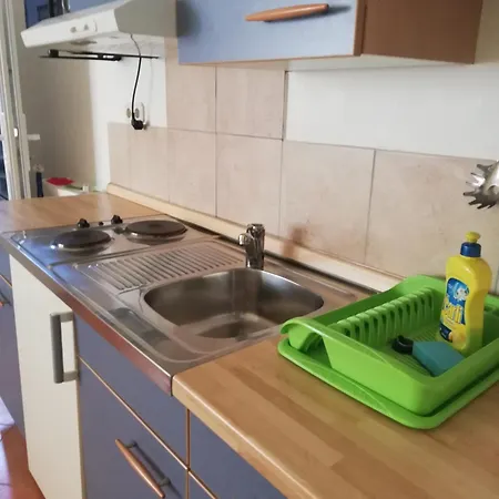 Maslina * Zára