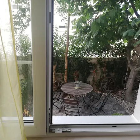 Maslina * Zára