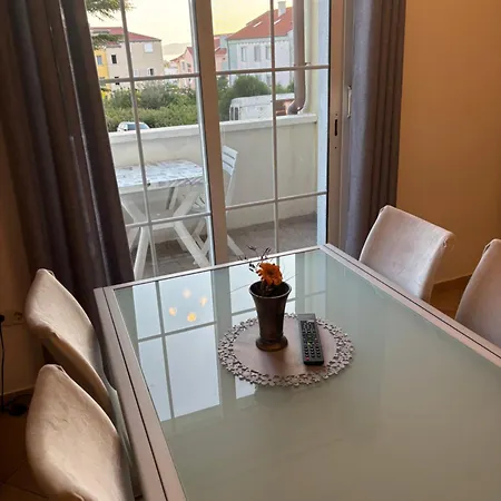 Maslina * Задар