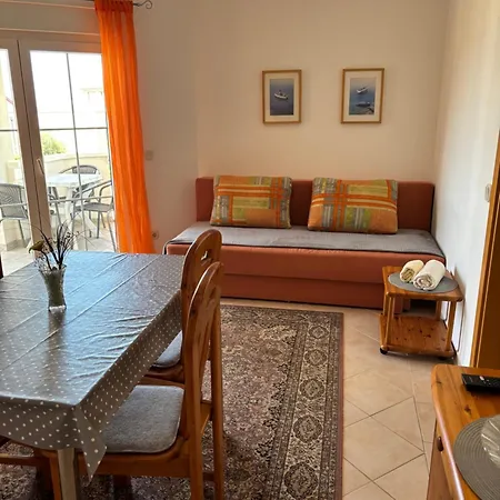 Maslina * Задар